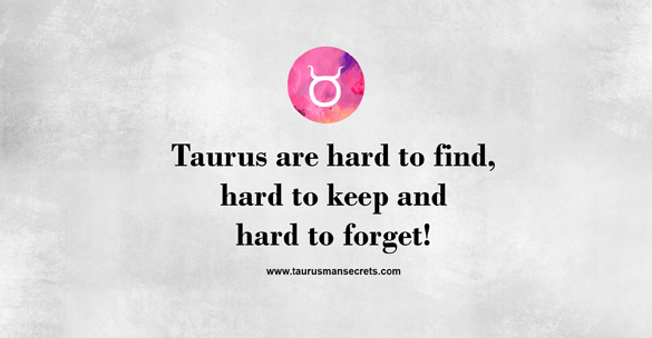 taurus-are-hard-to-find-hard-to-keep-and-hard-to-forget