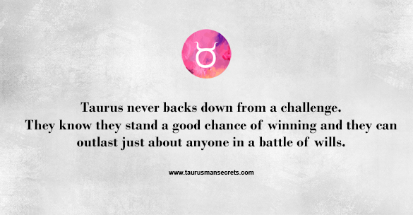 taurus-never-backs-down-from-a-challenge